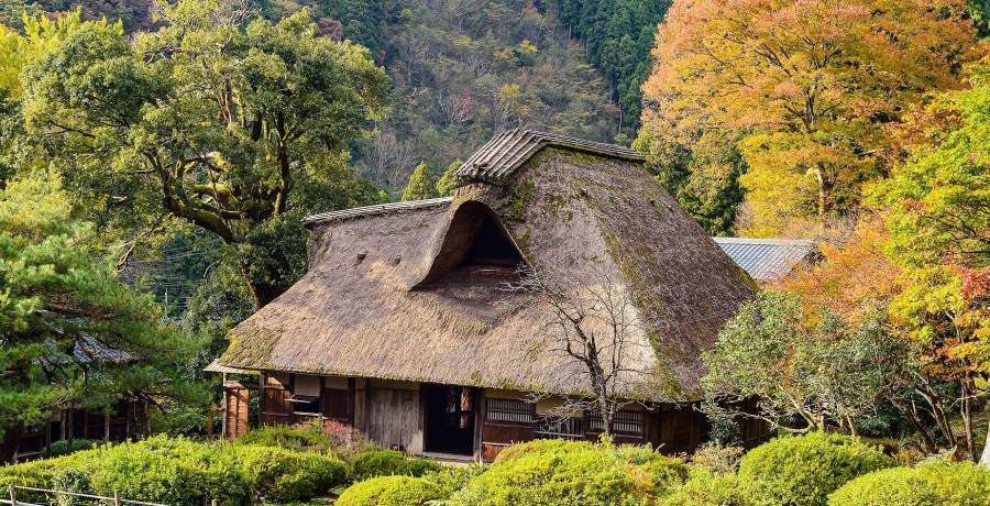 ガンニバル漫画最終回あらすじネタバレ