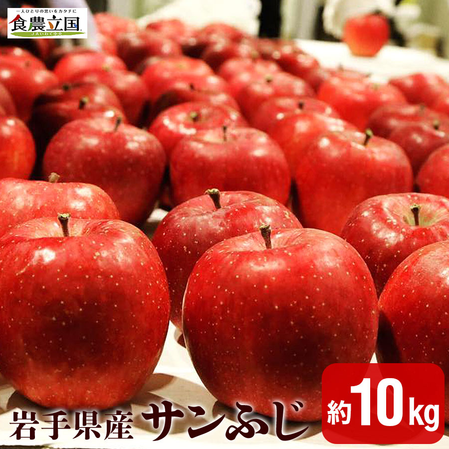 りんご　サンふじ　10kg