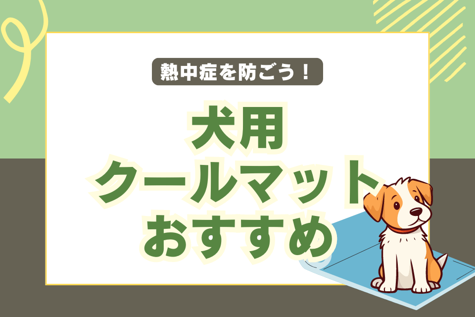 熱中症を防ごう！犬用クールマットおすすめ