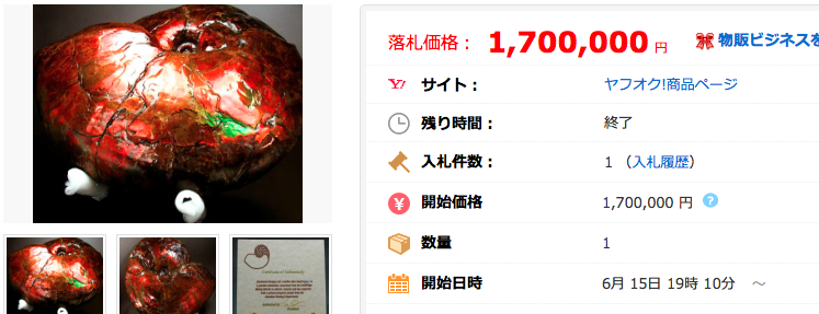 最大級 カナダ産アンモライト完全体 36kg 鑑定書付 宝石 化石