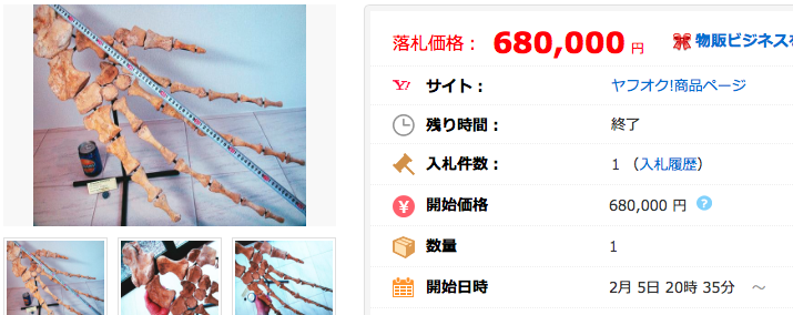 化石 モササウルスのヒレ 迫力！博物館級 標本 鉱物 原石 恐竜