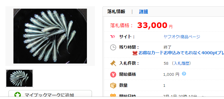 ヒビメダカ 青幹之 極太光 鉄仮面 ♂8♀13の価格比較|ペット、生き物|ヤフオク(ヤフーオークション)落札相場 オークファン(aucfan.com)