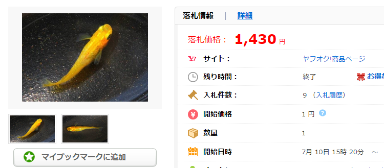 超極美 18金の輝き 金の化物 金螺鈿光 の有精卵20個 αの価格比較|ペット、生き物|ヤフオク(ヤフーオークション)落札相場 オークファン(aucfan.com)