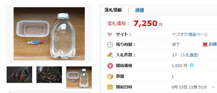 青空ママ 最高の紅白三色へ 卵40個+ゾウリムシの価格比較|ペット、生き物|ヤフオク(ヤフーオークション)落札相場 オークファン(aucfan.com)