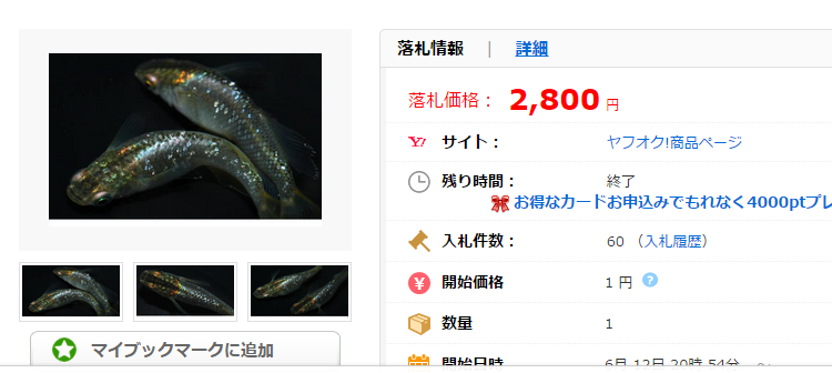 黄金品種の最高峰 パーフェクト鳳凰 の有精卵20個+αの価格比較|ペット、生き物|ヤフオク(ヤフーオークション)落札相場 オークファン(aucfan.com)