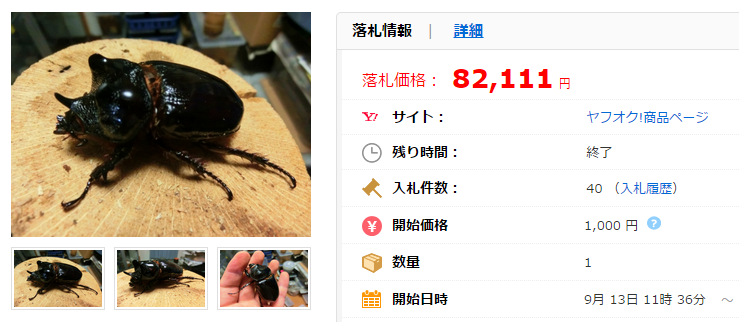 レア種 ケンタウルスミツノカブト即ブリペア No.7の価格比較｜ペット、生き物｜ヤフオク（ヤフーオークション）落札相場  オークファン（aucfan.com）