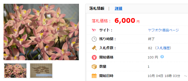 SS 洋蘭 野生蘭 テリミトラ 交配種 ゴールドフィンガーの価格比較｜花、園芸の｜ヤフオク（ヤフーオークション）落札相場  オークファン（aucfan.com）