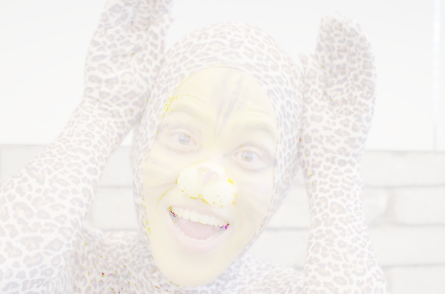 ネコかわいい……