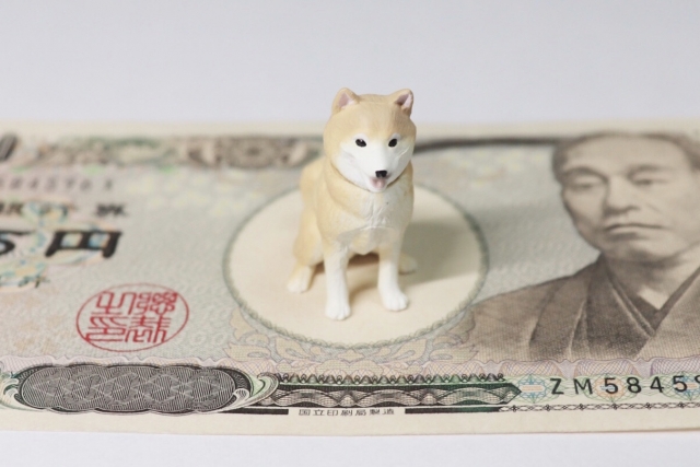 急な治療費の対応が難しい人