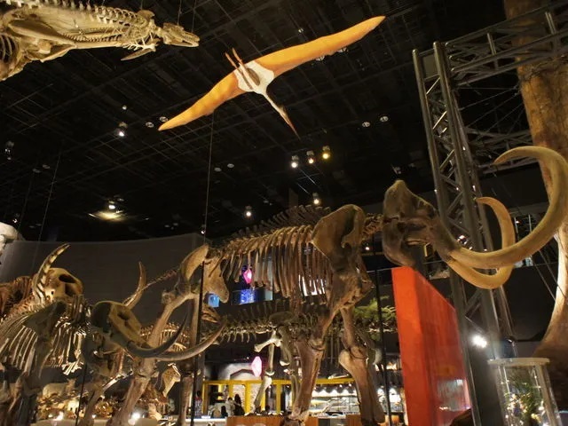 じゃらん　神奈川県立生命の星・地球博物館