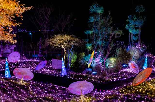 【2024～2025】京都のイルミネーション8選！冬のおすすめライトアップも紹介