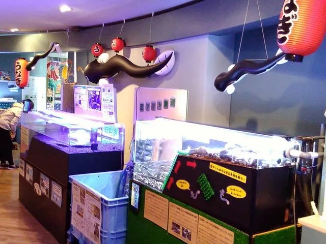 じゃらん　浜名湖体験学習施設ウォット