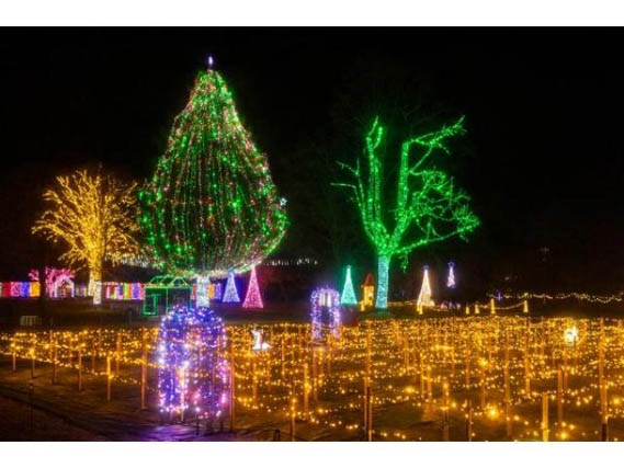 KOIWAI Winter Lights　銀河農場の夜所在地を確認する