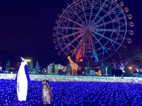 東武動物公園　ウインターイルミネーション　2024－2025