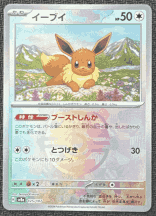 イーブイ　マスターボール仕様